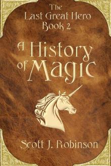 A History of Magic Read online