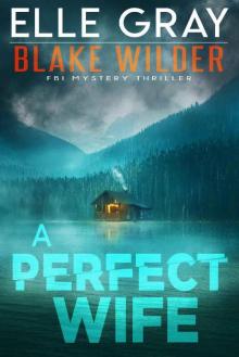 A Perfect Wife (Blake Wilder FBI Mystery Thriller Book 2) Read online