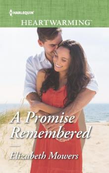 A Promise Remembered Read online