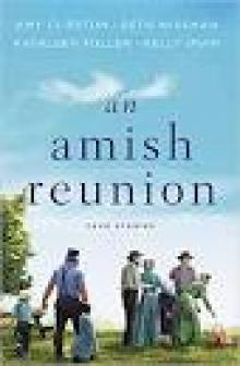 A Reunion 0f Hearts (An Amish Reunion Story Book 2) Read online