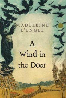 A Wind in the Door Read online
