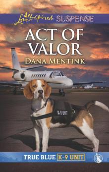 Act of Valor Read online