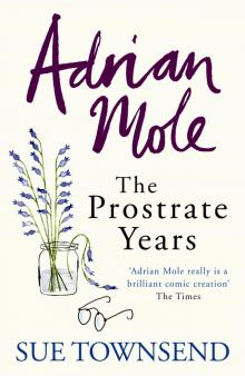 Adrian Mole: The Prostrate Years Read online