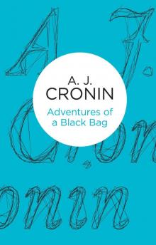 Adventures of a Black Bag Read online