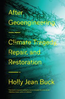 After Geoengineering Read online