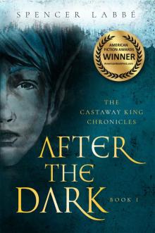 After the Dark Read online
