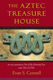 Aztec Treasure House Read online