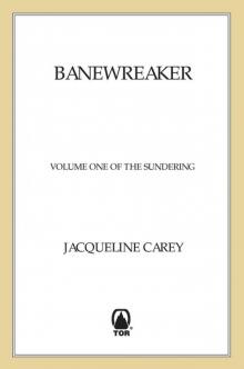 Banewreaker Read online