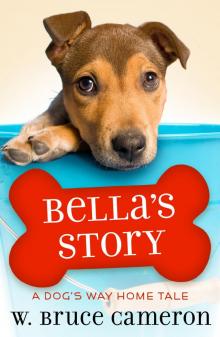 Bella's Story Read online