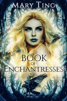 Book of Enchantresses Read online