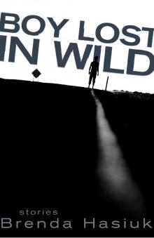Boy Lost in Wild Read online