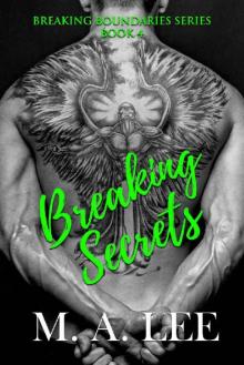 Breaking Secrets: Book 4 in the Breaking Boundaries Series Read online