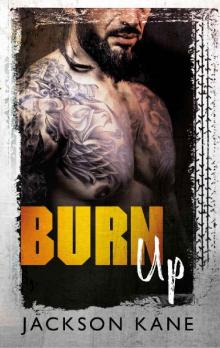 Burn Up (Steel Veins Book 2) Read online