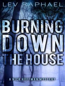 Burning Down the House Read online