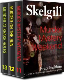 Detective Inspector Skelgill Boxset 4 Read online