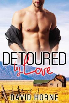 Detoured by Love Read online