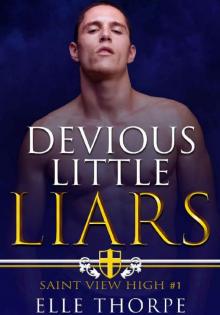 Devious Little Liars: A High School Bully Romance (Saint View High Book 1) Read online
