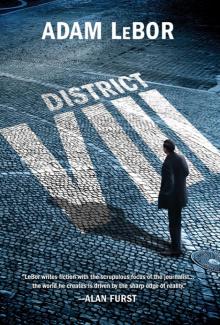 District VIII Read online