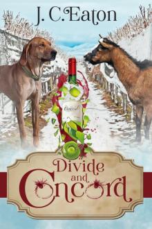 Divide and Concord Read online