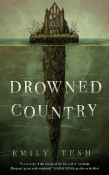 Drowned Country Read online