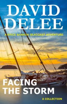 Facing the Storm (Brice Bannon Seacoast Adventure Book 1) Read online