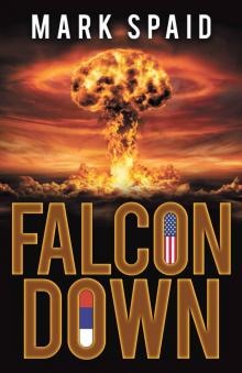 Falcon Down Read online