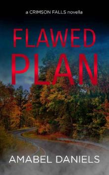 Flawed Plan Read online