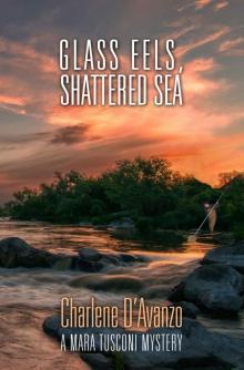 Glass Eels, Shattered Sea Read online