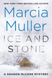 Ice and Stone Read online