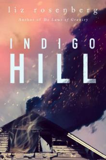 Indigo Hill: A Novel Read online
