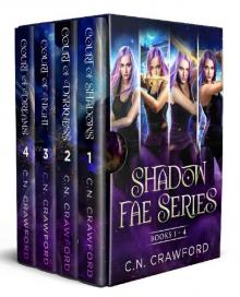 Institute of the Shadow Fae Box Set Read online