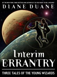 Interim Errantry Read online