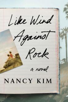 Like Wind Against Rock: A Novel Read online