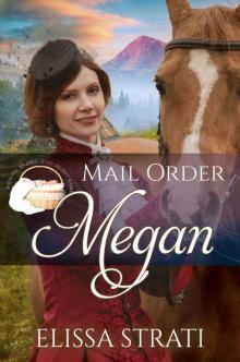 Mail Order Megan (Widows, Brides, and Secret Babies Book 11) Read online
