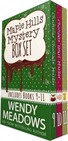 Maple Hills Mystery Box Set 3 Read online