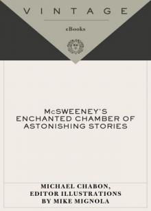 McSweeney's Enchanted Chamber of Astonishing Stories