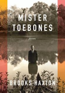 Mister Toebones Read online