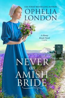 Never an Amish Bride Read online