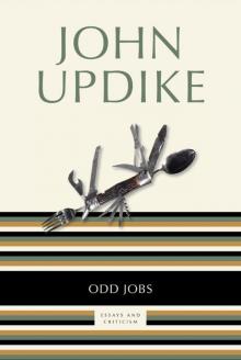 Odd Jobs: Essays and Criticism Read online