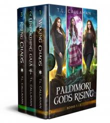 Paldimori Gods Rising Box Set Read online