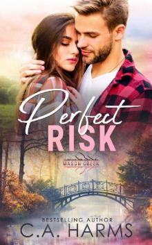 Perfect Risk (Mason Creek Book 1) Read online