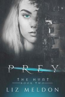 Prey (The Hunt Book 2) Read online