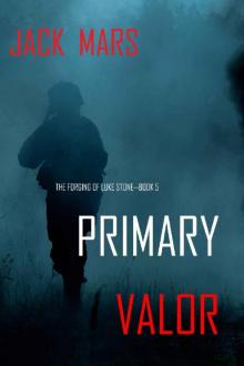 Primary Valor Read online