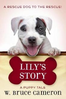 Puppy Tales 07 - Lily's Story Read online