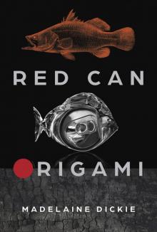 Red Can Origami Read online
