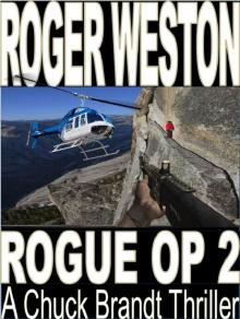 Rogue Op II Read online