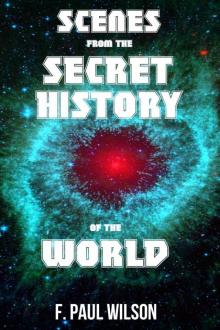 Scenes From the Secret History (The Secret History of the World) Read online