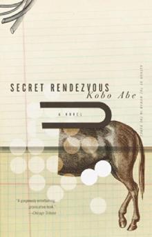Secret Rendezvous Read online