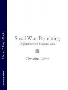 Small Wars Permitting Read online