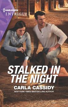 Stalked in the Night Read online